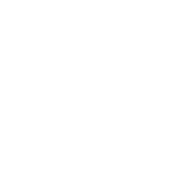 phone-icon